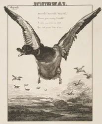 アヒル、1856年。