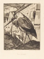 Les Cigognes (コウノトリ)