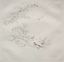 Parisian Service (ハビランド サービス): Fog (1 番)