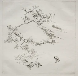 Parisian Service (Haviland service): 夜 (no. 7)