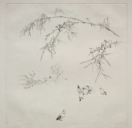 パリジャン サービス (ハビランド サービス): 雨 (10 番)