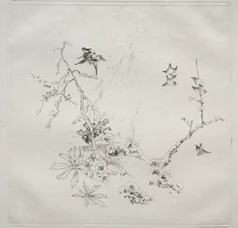 Parisian Service (ハビランド サービス): Snow (no. 6)
