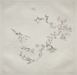 パリジャン サービス (ハビランド サービス): サンライズ (12 番)
