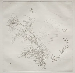 Parisian Service (ハビランド サービス): The Storm (no. 8)