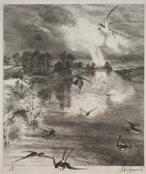 ツバメ、1882年。