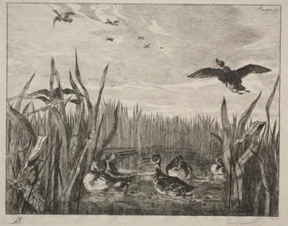 ティール、1853年。