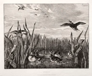ティールズ、1853年に1864年を印刷。