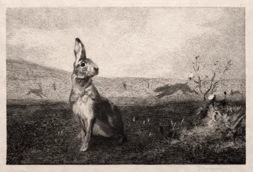 A. de Balleroy後のノウサギ、1865年。
