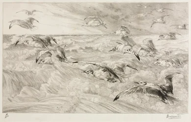 カモメ、c。 1880