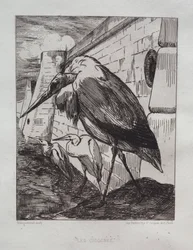 コウノトリ