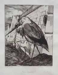 コウノトリ、1865。