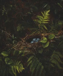鳥の巣とシダ、1863