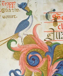 Missal 515 f.28v歴史的なイニシャルの角に人間の頭が立っている幻想的な鳥、1449ヴェラムの詳細の前に実行された合唱団の本の詳細56724