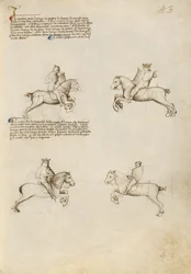 ランスを使った馬術