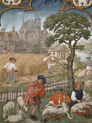 Fol.7v 7月、ブレビアリウムグリマーニの収穫と羊の剪断、1515年
