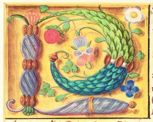 Ms 134照らされた手紙 `花の装飾が施されたP、時間の書、c.1500から