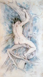 「ハマドリエイド」、c1850-1898。