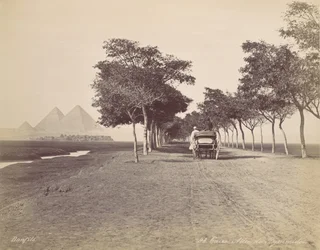 カイロ。 ピラミッドの路地、カリフォルニア州。 1870年。