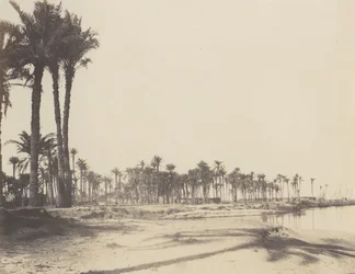 El-Nâcerah、Dattiers、Rives du Nil et Barques、1851-52 年、1853-54 年に印刷。