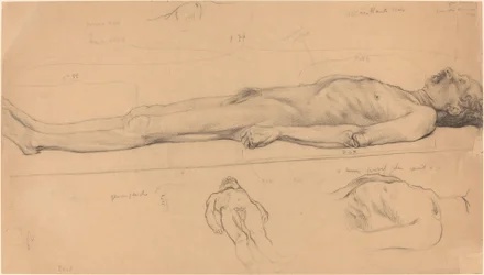 死んだキリストのための死体研究、1893年。