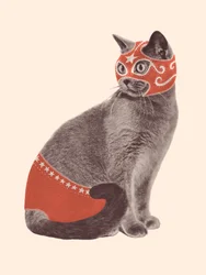 猫のレスラー