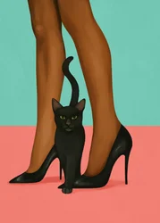 黒猫とハイヒール