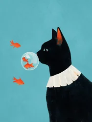 好奇心旺盛な猫と金魚の夢