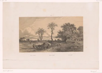 ハンガリーの風景の中の牛と農場のカート ハンガリーの風景 / Ungarische Landschaft / Paisage Húngaro (オブジェクトのタイトル) 風景の中の人物（シリーズタイトル）