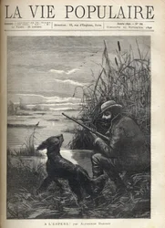 バードハンターが犬と一緒に沼地で観察しています。アルフォンス・ドーデ（1840-1897）の「うまくいけば！」のためのF.モーレのイラスト。"アルフォンス・ドーデ(1840-1897)作。1890年の「La vie populaire」に掲載された版画。プライベートコレクション