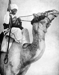 アフリカの砂漠の戦士、1936年。