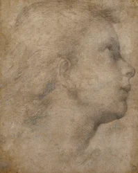 右を見上げている横顔の天使の頭、