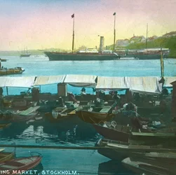 水上マーケット、スウェーデン、ストックホルム、19世紀後半から20世紀初頭。