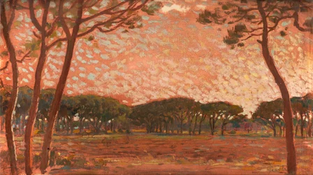 マレンマのパインウッド（船上油）