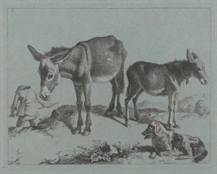 ロバと子馬、犬、農夫、17621763。