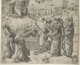 聖母の被昇天c。 1495。