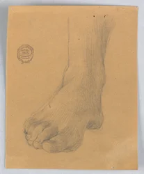 右足の研究