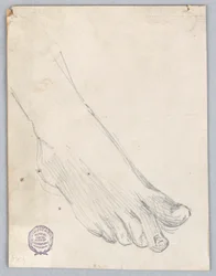 右足の研究