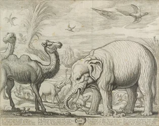 アフリカ、1672