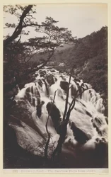 Betws-y Coed、ツバメが上から落ちる