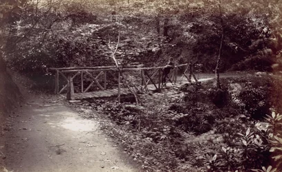 コルウィン湾。 森の中の素朴な橋、1870 年代。