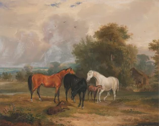 Cavalos pastando: éguas e potros em um campo