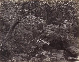 リンマスのグレン、1860年代