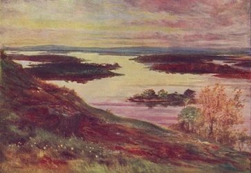 「アイリッシュ ラフ」、1910 年