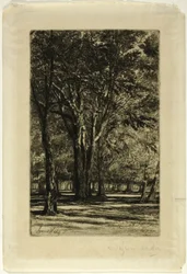 Kensington Gardens, No. II (大皿)
