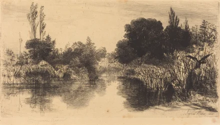 Shere Mill Pond (大皿)