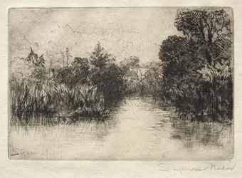 Shere Mill Pond小規模な調査。