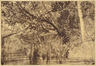 小川の口No.1