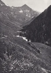 東アルプス: Windach Tal で (白黒写真)