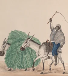 ラバに乗った男性が鞭を振り上げ、草を積んだラバが横に並んでいる...、1848年頃。