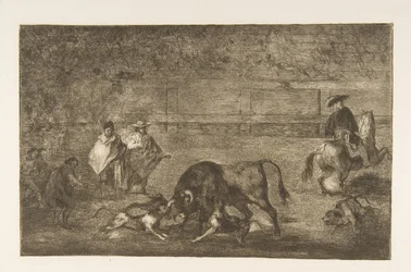 プレートC：犬は雄牛を放します。 1816年。